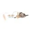 AFP Modern Cat Dimo ​​​​egg spinner
