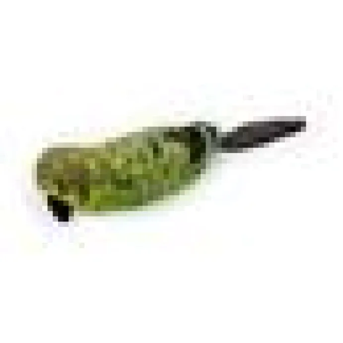 AFP Natural Instinct Catnip Bird
