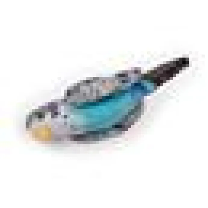 AFP Natural Instinct Catnip Bird