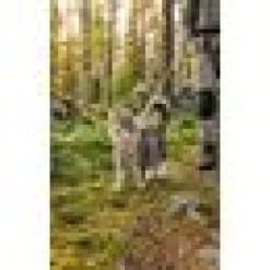 Air Mesh Set för Katt Beige