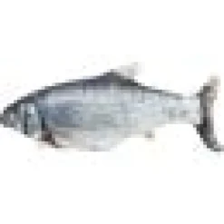 Aktiveringsleksak sprattlande fisk