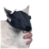 BUSTER munkorg katt