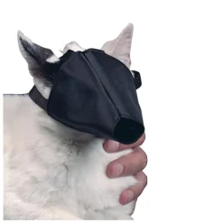 BUSTER munkorg katt