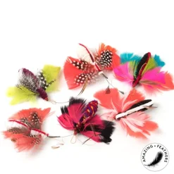 Butterfly Refill