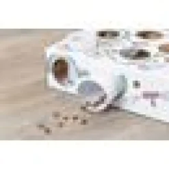 Cat Activity Paws n Treats Box