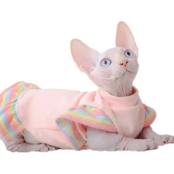 Cat Dress Rainbow Sleeves