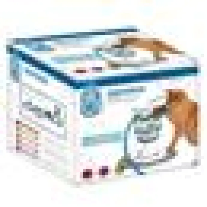 Cat It Senses Food Maze