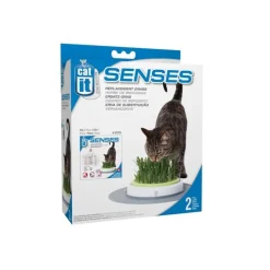 Cat It Senses Grass Garden