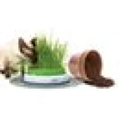 Catit Senses Grass Planter