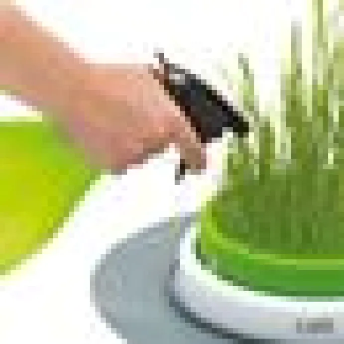 Catit Senses Grass Planter