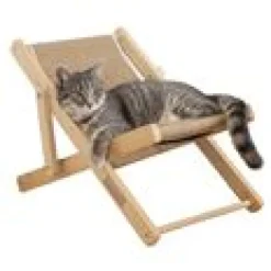 Cat Lounger Beach