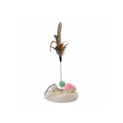 Cat playing court with toys