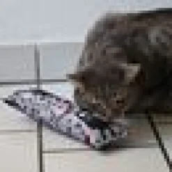 4cats Krazy kickeroo Kattmynta