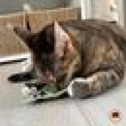 4cats Lucy-kollektion - Mysig kudde