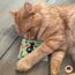 4cats Lucy-kollektion - Mysig kudde
