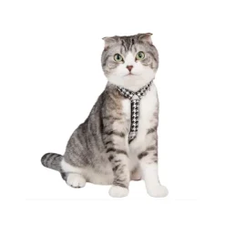 CATSPIA MOUSER Superior Svart