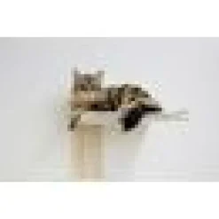 Cat Tree Timber
