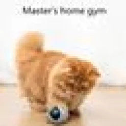 Colorful LED Self Rotating Pet Ball