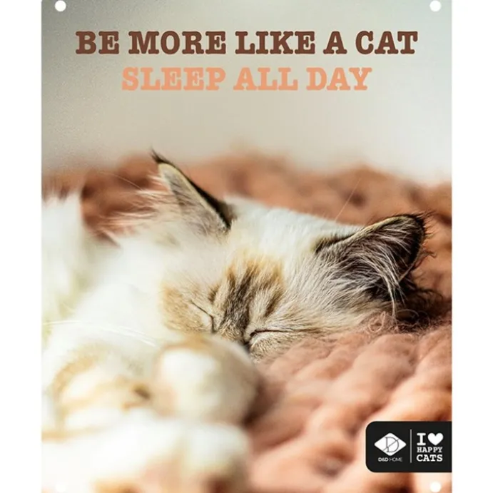 D&D kattskylt sleep all day