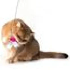 Dragonfly & Bug Refill 2 pack
