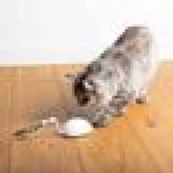 Electronic cat toy Mouse On The
