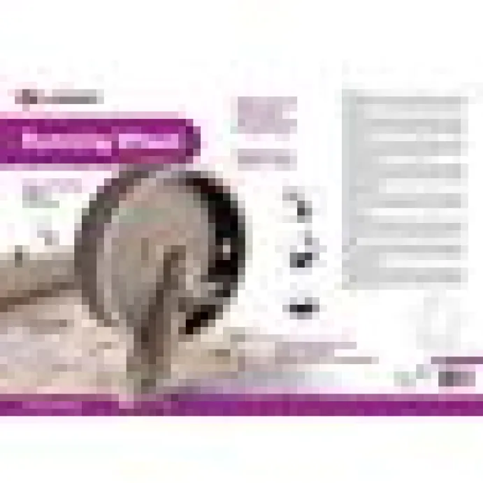 Flamingo Cat Running Wheel
