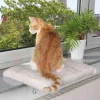 Fönsterbräda katt Vit/grå