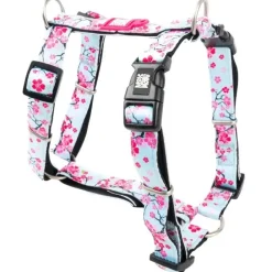 H-sele Cherry Bloom