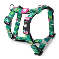 H-sele Tropisk
