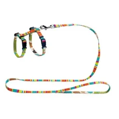 Hunter Kattsele med koppel Stripes
