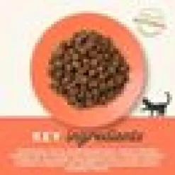 Kattfoder Applaws Adult Chicken & Salmon 7,5 Kg