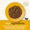 Kattfoder Applaws Kitten 2KG
