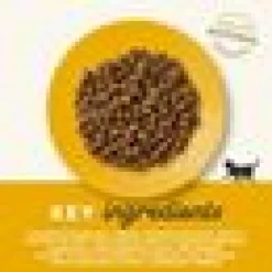 Kattfoder Applaws Kitten 2KG