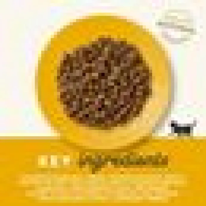 Kattfoder Applaws Kitten 2KG