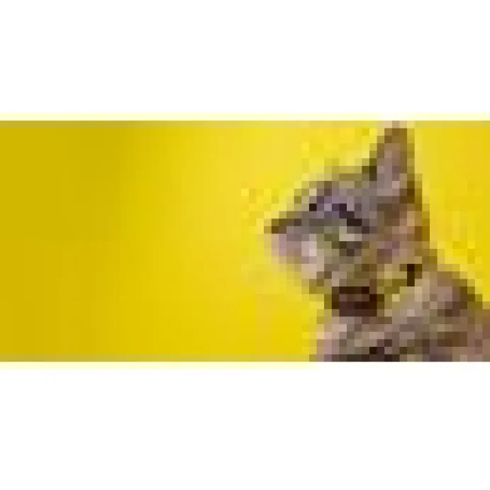 Katthahlsband Dashi Eco Banan