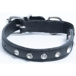Katthalsband Genuine Leather med Srass Svart