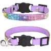 Katthalsband med strass Lila Rainbow