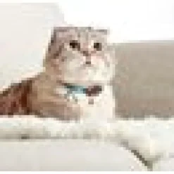 Katthalsnband Max&Molly med Smart ID Serietidning