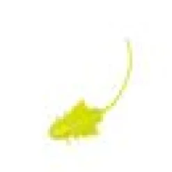 Kattleksak Buzzin Bug Green