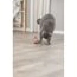 Kattleksak Cat Activity Snacksmus