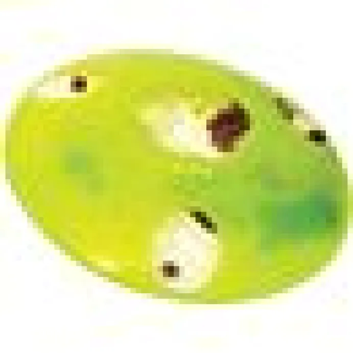 Kattleksak Catiit Treat Spinner