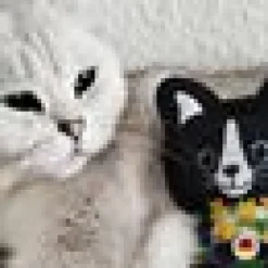 Kattleksak 4cats Lucy-figur Catnip silvervine