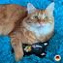 Kattleksak 4cats Lucy-figur Catnip silvervine
