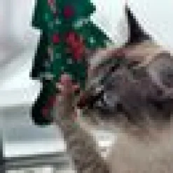 Kattleksak 4cats Xmas Julgran