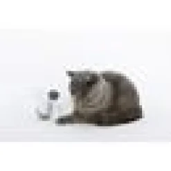 Kattleksak Companion Electronic Cat motion