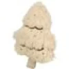 Kattleksak Julgran Beige/guld