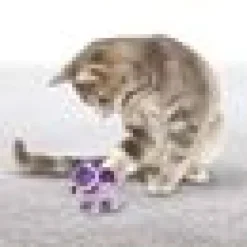 Kattleksak Kong Crackles Winkz Cat