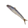 Kattleksak Makrill 16-20 cm