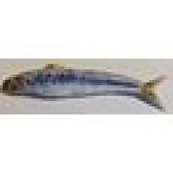 Kattleksak Makrill 16-20 cm
