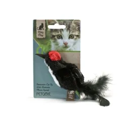 Kattleksak Play-N-Squeak Knock-Knock